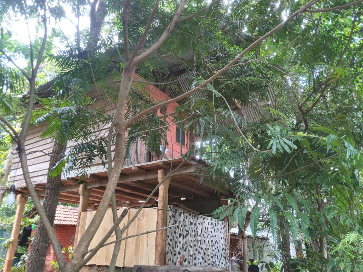 Angry Birds Tree House Apartment Habarana Exterior photo