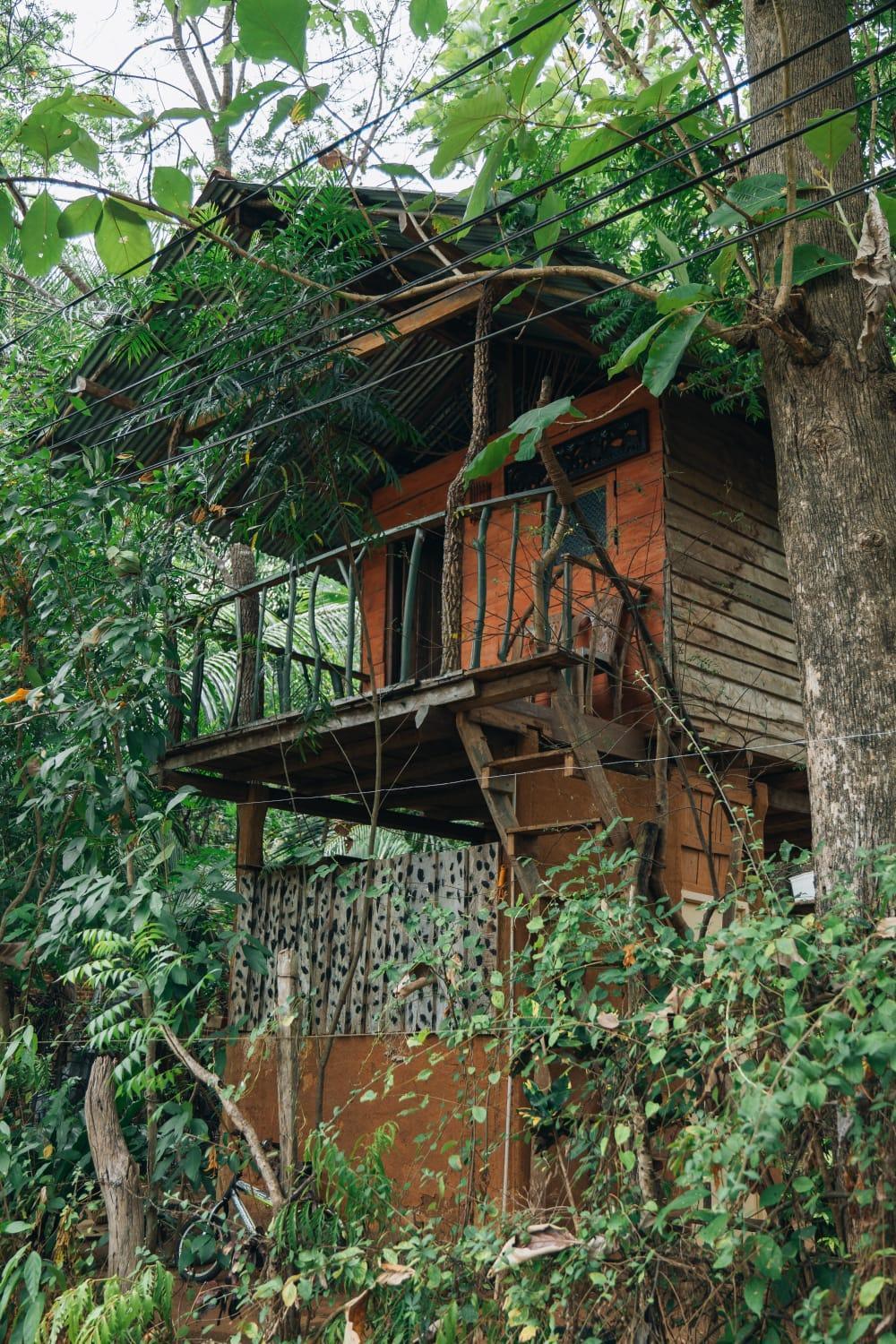 Angry Birds Tree House Apartment Habarana Exterior photo